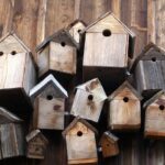 Vogelfutterhӓuser im Garten
