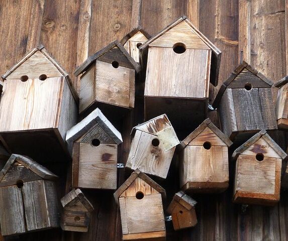 Vogelfutterhӓuser im Garten